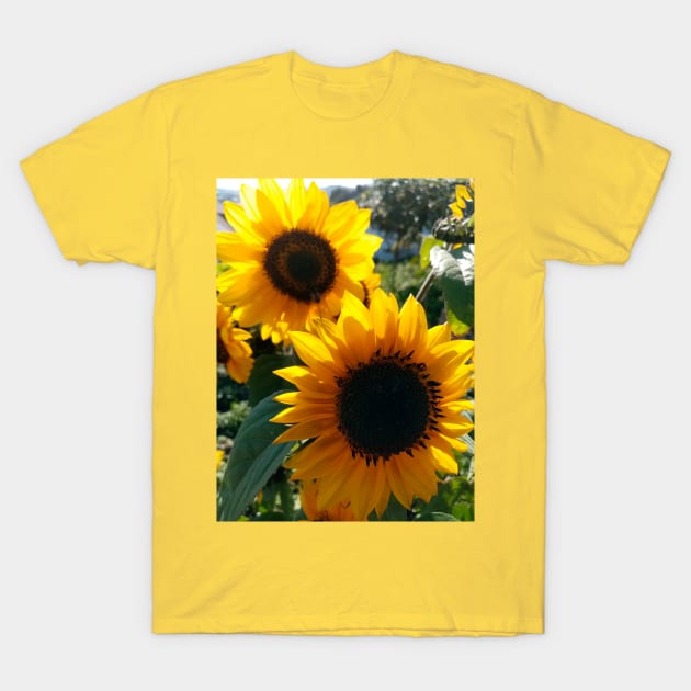 Sunflowers T-Shirt by Gaspar Avila